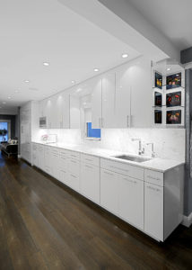 Lincolnwood - Kitchen Contemporary
